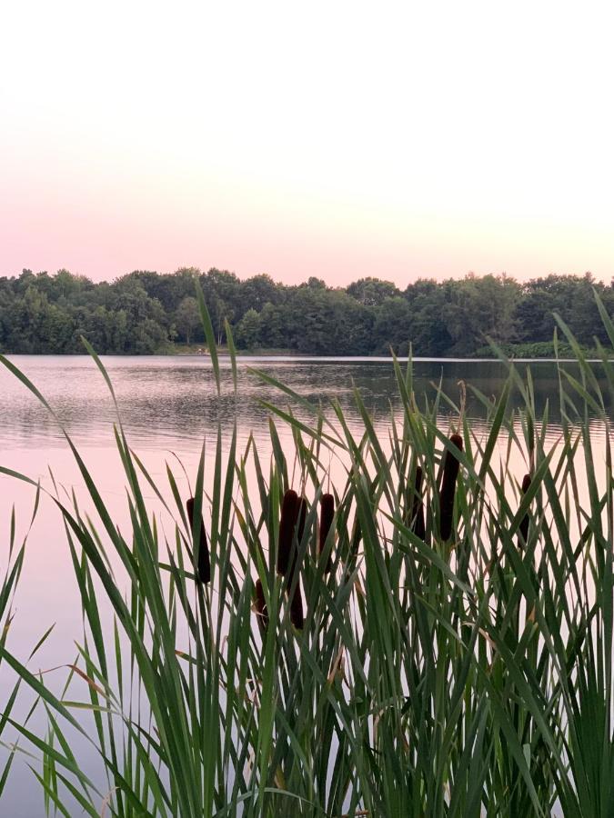 Ferienhaus Seestern Am Harkebruegger See Mit Sauna Und Kamin Barssel  Bagian luar foto